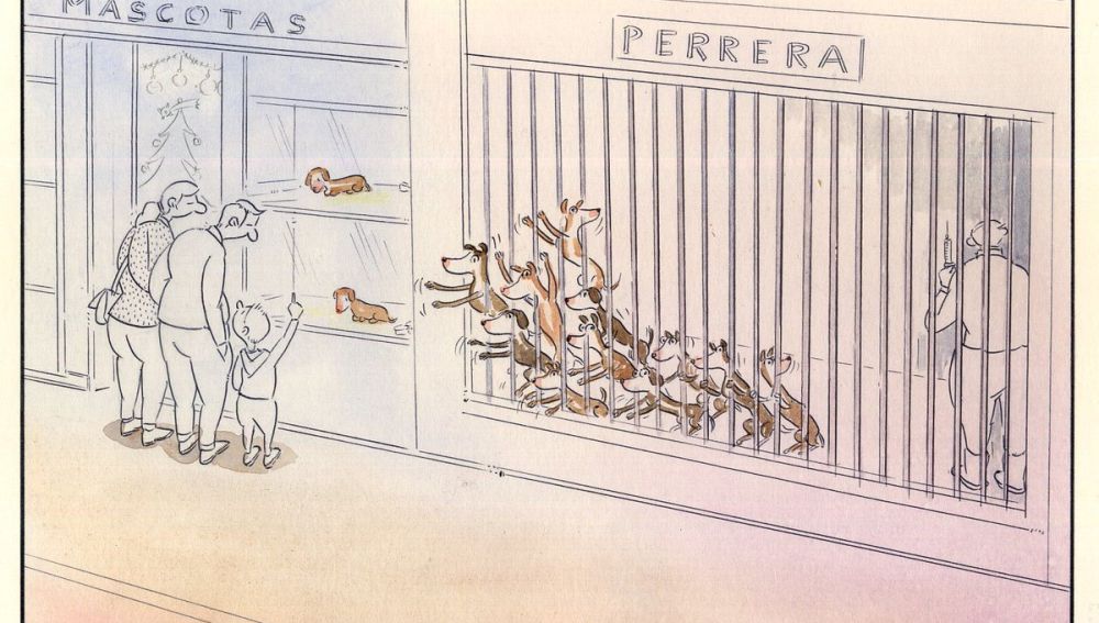 Paco Catalán, el dibujante que denuncia el maltrato animal con sus viñetas