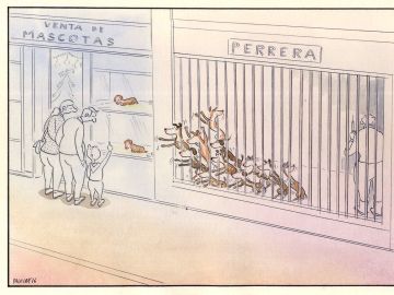 Paco Catalán, el dibujante que denuncia el maltrato animal con sus viñetas
