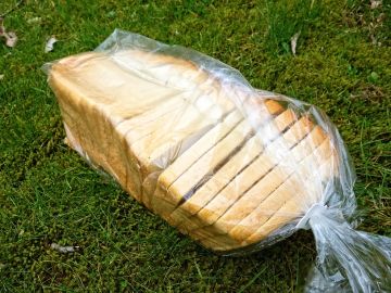 Desarrollan una envoltura ecológica para sustituir el embalaje de comida de plástico Desarrollan una envoltura ecológica para sustituir el embalaje de comida de plástico