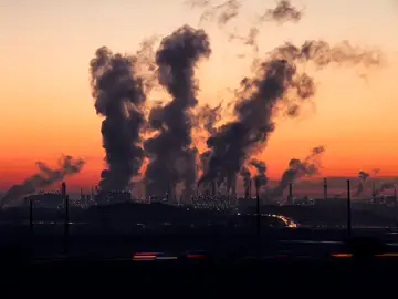 La contaminación ambiental daña la salud neurológica La contaminación ambiental daña la salud neurológica