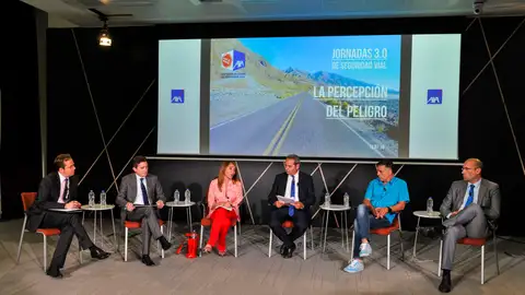 Jornadas 3.0 sobre la percepción del peligro Jornadas 3.0 sobre la percepción del peligro