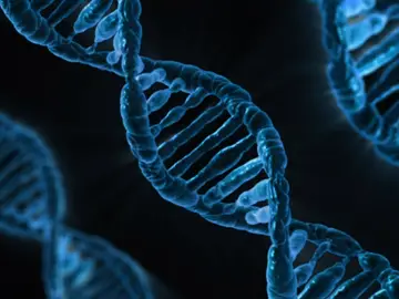 Desarrollan un nanorobot para combatir tumores cancerígenos Desarrollan un nanorobot para combatir tumores cancerígenos