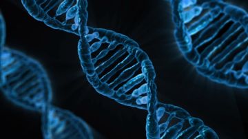 Desarrollan un nanorobot para combatir tumores cancerígenos en China Desarrollan un nanorobot para combatir tumores cancerígenos en China