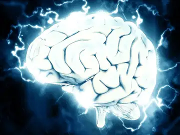 Cerebro Cerebro
