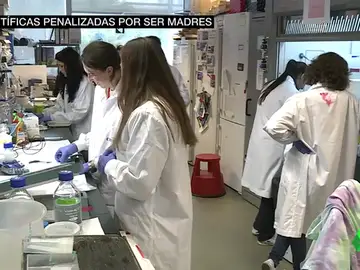 Las científicas españolas denuncian que son penalizadas si tienen hijos: "Tenemos dos opciones: no ser madre o retrasar la maternidad muchísimo" Las científicas españolas denuncian que son penalizadas si tienen hijos: "Tenemos dos opciones: no ser madre o retrasar la maternidad muchísimo"