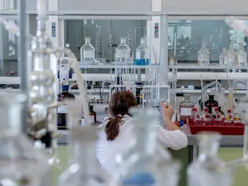 Localizan una proteína que puede favorecer al desarrollo del autismo Localizan una proteína que puede favorecer al desarrollo del autismo