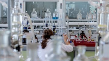 Localizan una proteína que puede favorecer al desarrollo del autismo Localizan una proteína que puede favorecer al desarrollo del autismo