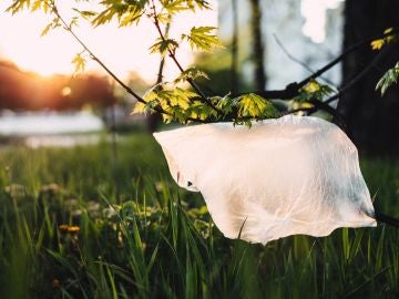 Kenia cumple un año sin bolsas de plástico 