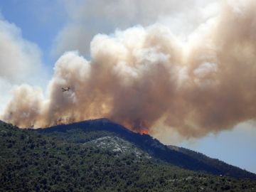 Los incendios forestales han destruido alrededor de 80 hectáreas cada día Los incendios forestales han destruido alrededor de 80 hectáreas cada día