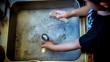 Relacionan el uso de productos de limpieza en el hogar con el sobrepeso en niños Relacionan el uso de productos de limpieza en el hogar con el sobrepeso en niños