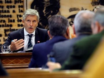 El ministro del Interior, Fernando Grande-Marlaska El ministro del Interior, Fernando Grande-Marlaska