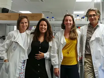 Un grupo de investigadores españoles consiguen evitar el rechazo a los órganos trasplantados Un grupo de investigadores españoles consiguen evitar el rechazo a los órganos trasplantados