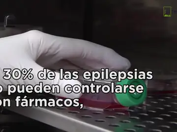 Desarrollo de una terapia celular novedosa para curar epilepsias infantiles Desarrollo de una terapia celular novedosa para curar epilepsias infantiles