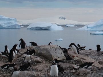 Imagen del océano Antártico 