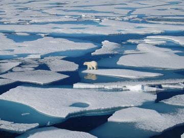 El deshielo en el Ártico Polar