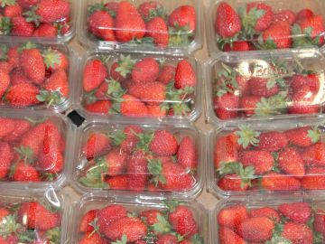 Imagen de fresas envasadas en cajas de plástico.