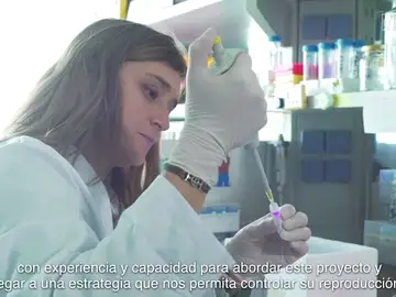 Proyecto para controlar las plagas de cucarachas e impedir la difusión de enfermedades Proyecto para controlar las plagas de cucarachas e impedir la difusión de enfermedades