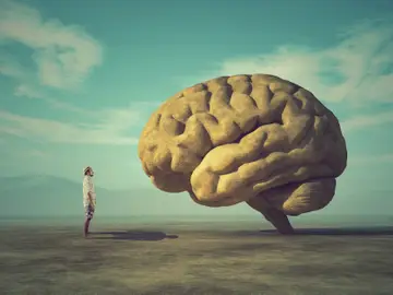 La irreversibilidad de la muerte cerebral cuestionada La irreversibilidad de la muerte cerebral cuestionada