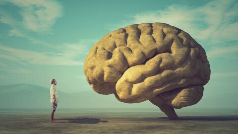La irreversibilidad de la muerte cerebral cuestionada