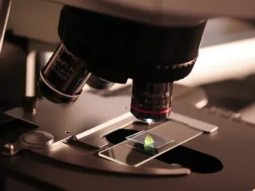 Una muestra analizada mediante microscopio Una muestra analizada mediante microscopio