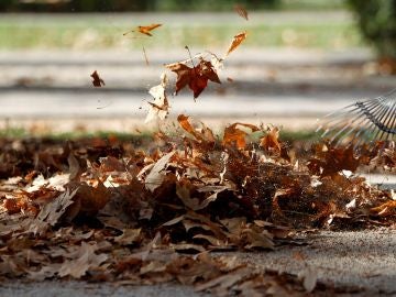 El cambio climático frena la descomposición de nutrientes El cambio climático frena la descomposición de nutrientes