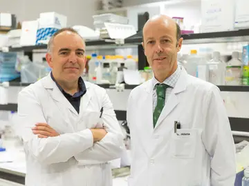 Xabier Aguirre y Felipe Prósper, del CIMA y la Clínica Universidad de Navarra Xabier Aguirre y Felipe Prósper, del CIMA y la Clínica Universidad de Navarra