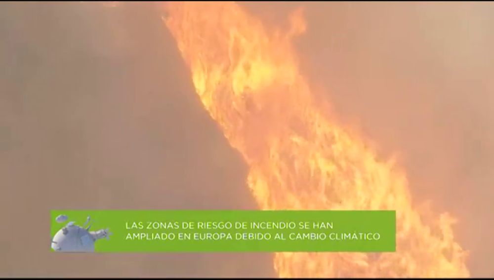 España es el segundo país del Mediterráneo con más incendios forestales al año