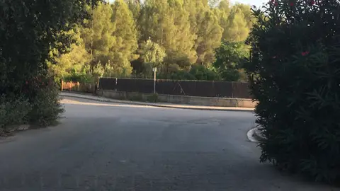 STOP QUE NO SE VE. A menudo me encuentro con vehículos que se saltan el stop que queda tapado por los arbustos y soy yo el que tengo que frenar para no jugarme la vida. En este punto hay muchos accidentes. El punto exacto es en la Av de gaudi de Rubi con el cruce de carrer de Domenech y montaner.