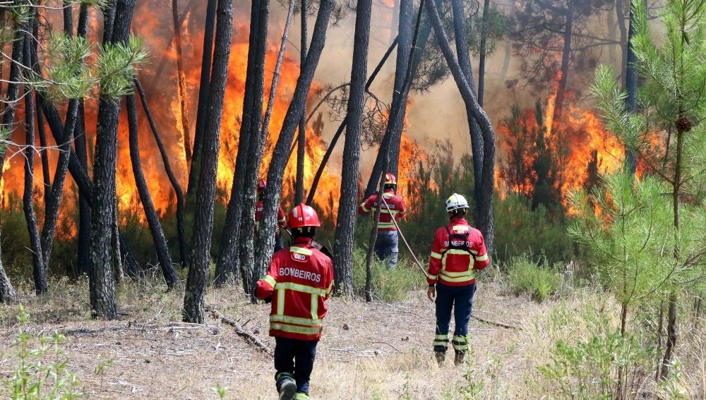 Bomberos combaten un incendio forestal en Casais de Sao Bento