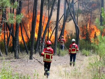 Bomberos combaten un incendio forestal en Casais de Sao Bento