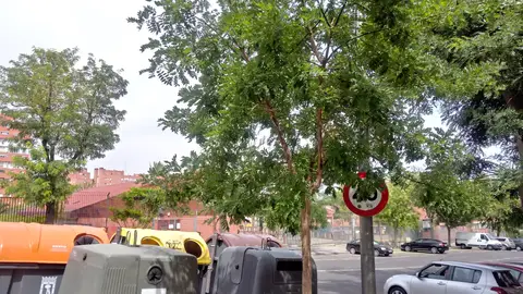 Señal tapada En Madrid, en la calle León Felipe 6 , 28038 justo en frente del Colegio Público La Rioja hay una señal de circulación tapada por arboles y por los cubos de basura, está orientada hacia la acera y no hacia la carretera, lo que la hace invisible para los conductores.