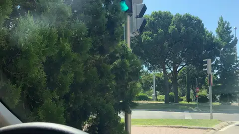Poda de seto Casi no se ve el semáforo porque lo tapa un seto. Glorieta de cruce de Doctor García Tapia con Fuente Carrantona. Madrid