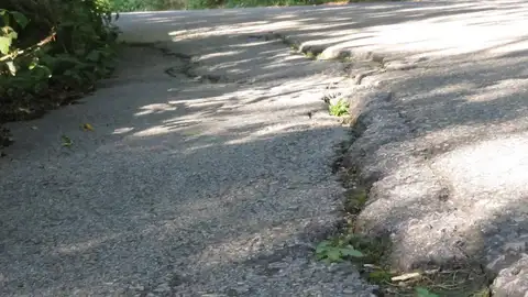 Plataforma Vecinal Reparación AS-237 Grao-Avilés Buenos días, por favor, echadnos una mano con nuestra carretera. Hemos creado una plataforma vecinal para exigir el arreglo de esta carretera que une Grao y Avilés y que se encuentra en estado de total abandono. No se limpia la maleza, por lo que muchas señales no se ven y el piso está en un estado deplorable. Ya he mandado varias fotos anteriormente. Gracias y saludos, Nuria.