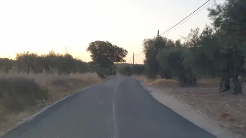 Carretera peligrosa y vergonzosa Este es el estado en el que está la carretera denominada "camino del prado" entre las poblaciones de Mentrida y Calalberche (Toledo). Con un ancho insuficiente, totalmente destrozada y sin marcas viales. Tampoco hay señalización de curvas ni absolutamente ninguna medida de seguridad. Eso si, la DGT si se oculta bajo un olivo para multar a los coches que superan los 40 km/h en la única recta que hay.