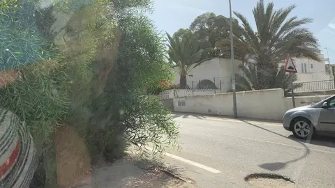 Poner espejo y cortar árboles En este cruce hay que tener mil ojos para poder girar a la izquierda, ya que unos matojos tapan la visibilidad y ya ha habido varios accidentes, no tenemos espejo, y nadie es capaz de cortarnos los árboles ya que es una propiedad. Está situado en Aguamarga (Níjar, Almería) al lado de Calle Hawai.