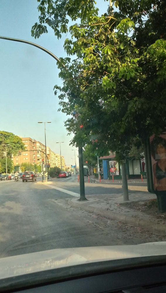 Semáforo y señal de trafico tapada por arbol en Murcia