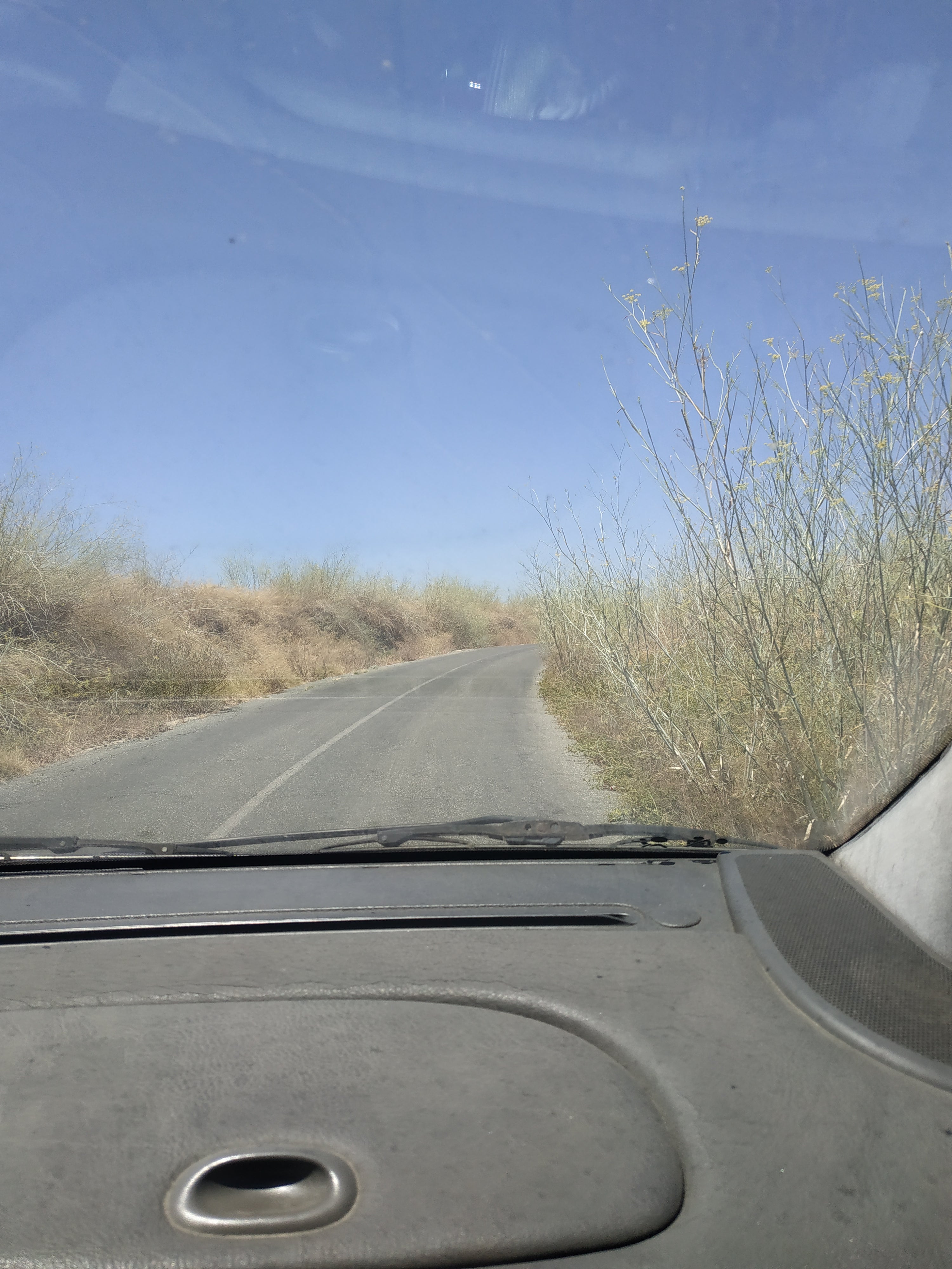Estado de carreteras palomares del rio Todos los años está igual no es la primera vez que la denunció por esta plataforma, siempre sale ardiendo por el estado en que se encuentra los laterales de la carretera. Esto se encuentra en la calle Velázquez en palomares del río, Sevilla.