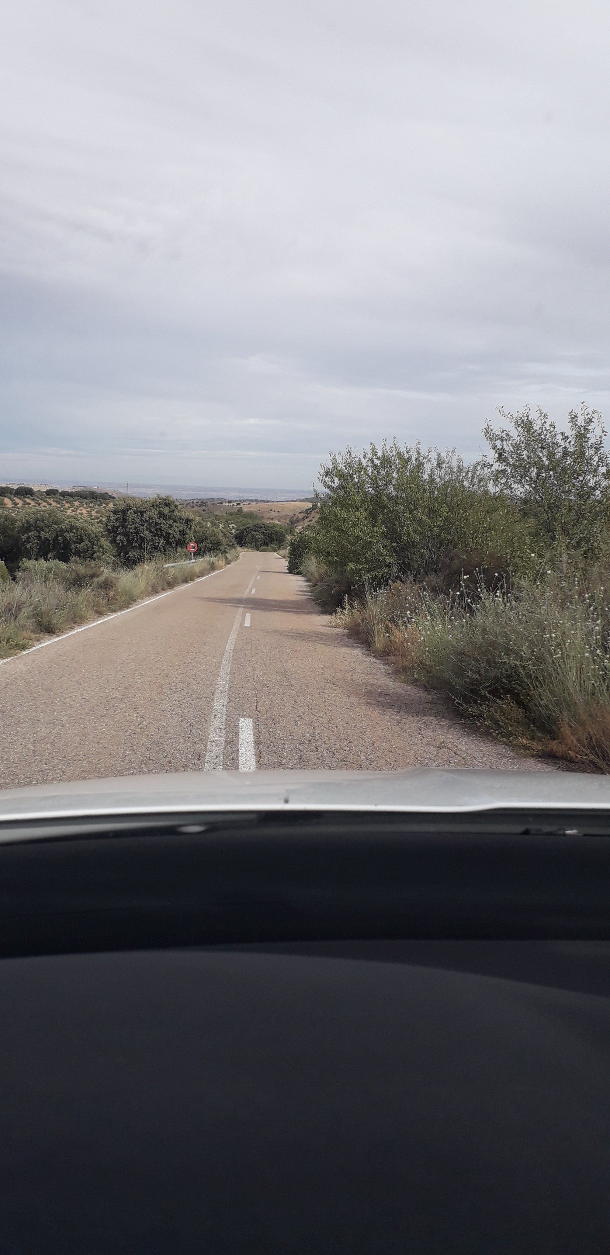 Falta de mantenimiento Buenos días ando mucho por carretera por mi profesión y me encuentro constantemente que los matorrales y los árboles se comen la carretera de noche produce falta de visibilidad no te puedes cruzar dos coches además de ser zona en la que se cruzan especies cinegéticas y no se pueden ver hasta que los tienes encima.La foto es de la carretera de Vellisca a Saceda Trasierra en Cuenca pero así hay muchas mas