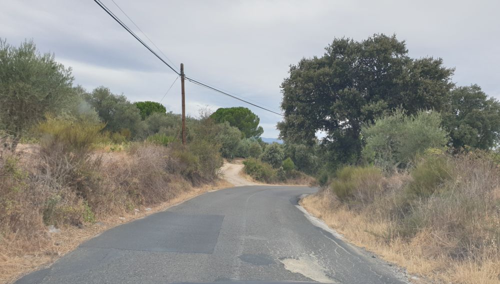 Carretera entre mentrida y calalberche 