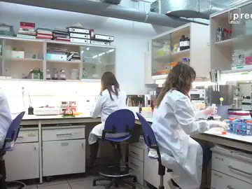 El papel de microorganismos infecciosos podría aumentar el riesgo de desarrollar cáncer El papel de microorganismos infecciosos podría aumentar el riesgo de desarrollar cáncer