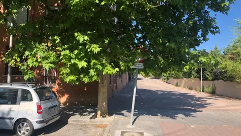 placa de tráfico tapada Placa de tráfico tapada la mayor parte del año en calle de circulación prohibida calle Muñico con brea de Tajo Madrid