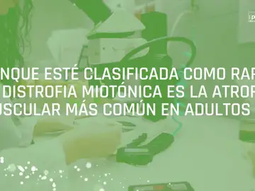 Colabora en la investigación de un tratamiento contra la distrofia miotónica Colabora en la investigación de un tratamiento contra la distrofia miotónica