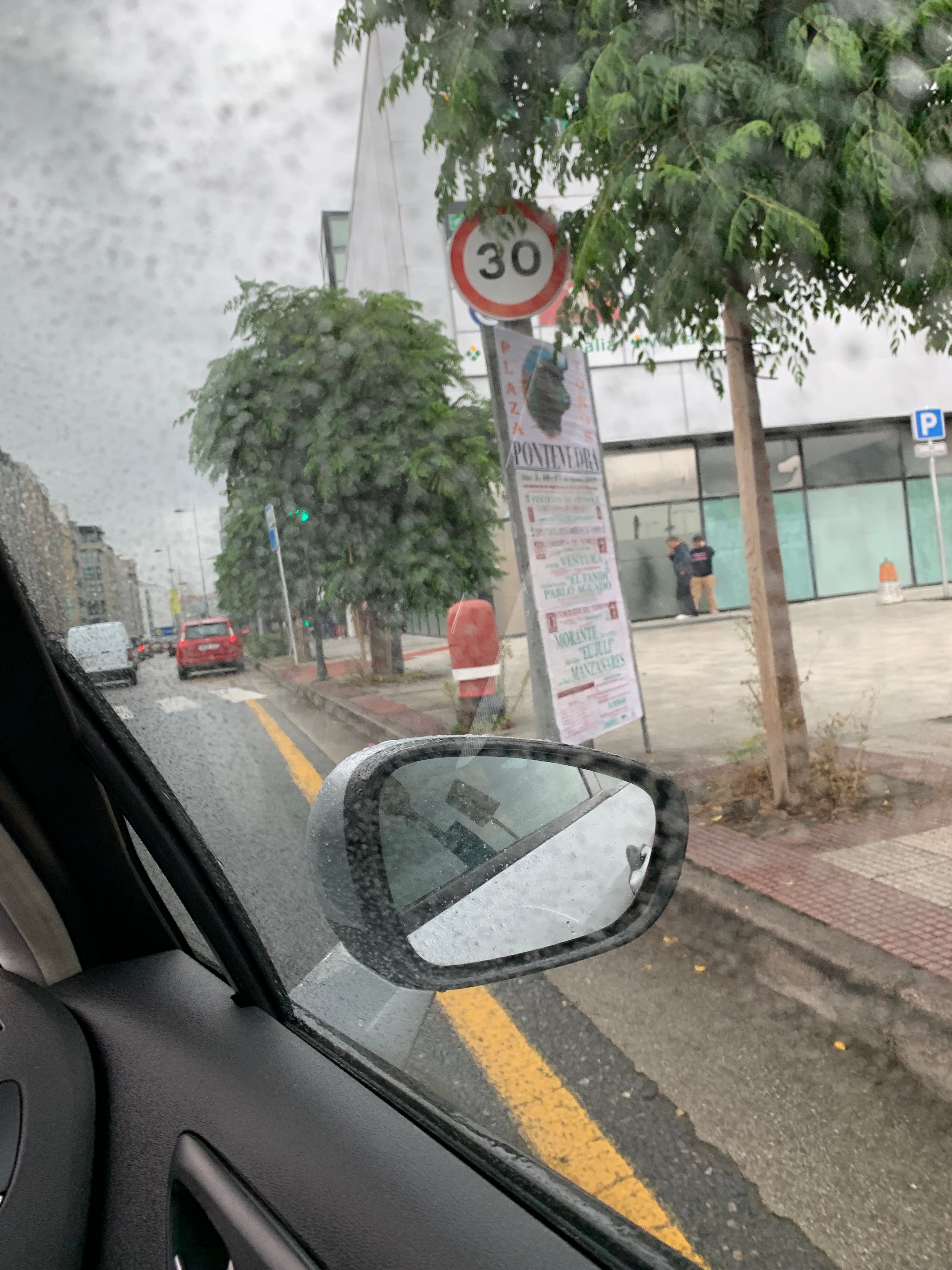 Semáforo tapado por las ramas de un árbol En la calle Eduardo Pondal, Pontevedra, enfrente a los cines de Vialia, hay un semáforo que esta tapado por las ramas de un árbol