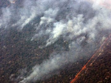 Imagen de un incendio en el Amazonas