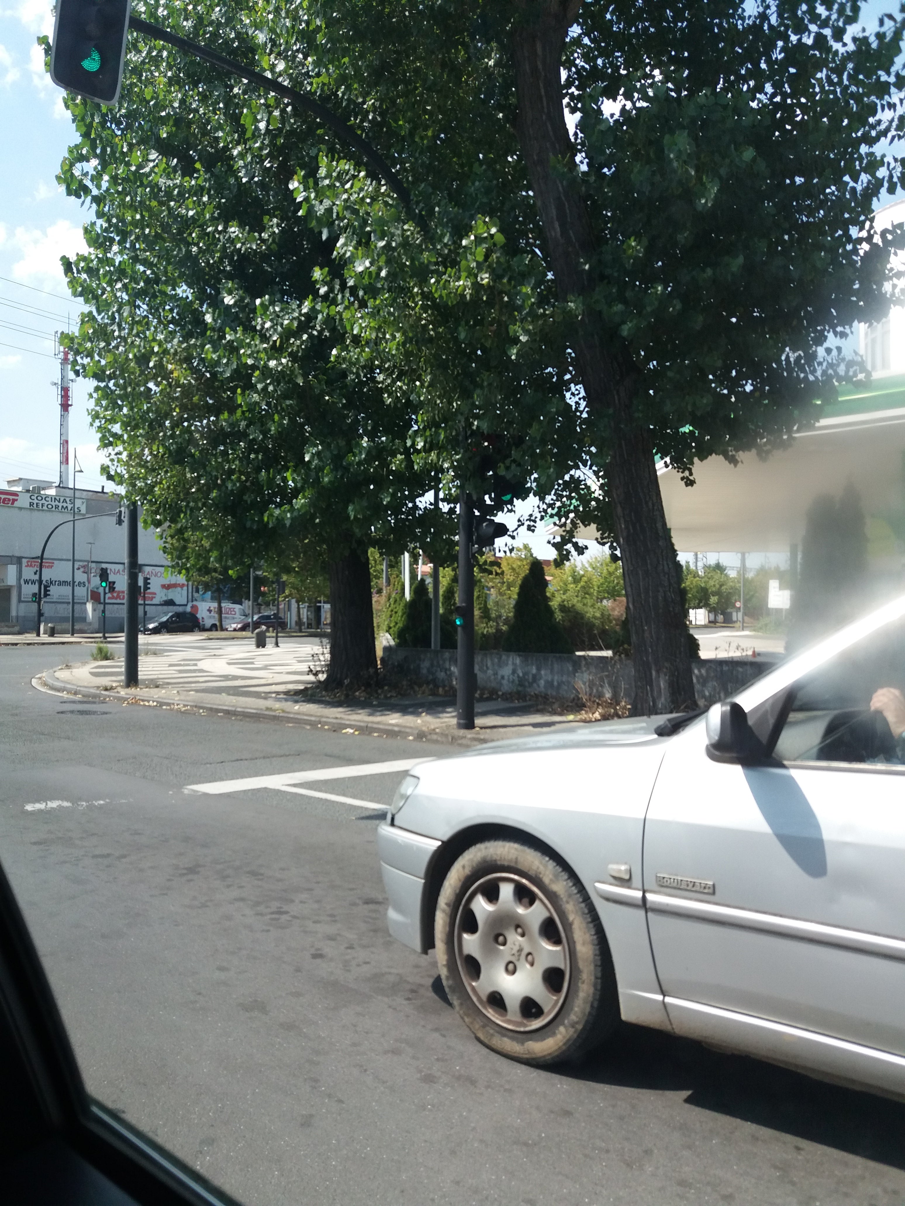 Semáforo tapado por las ramas de un árbol Semáforo oculto por las ramas de un árbol en Vitoria (Portal de Gamarra con Avenida Cantábrico).