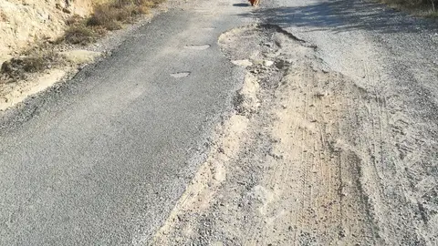 Mal camino Este es el principio del mal camino. Más adelante también hay muchos agujeros en el pavimento. L' Aguda, Torá. 25750.
