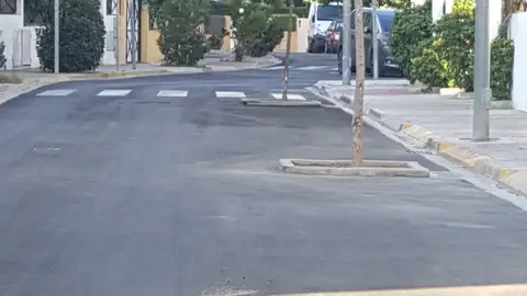 Se pasaron de ecologistas Plantaron árboles en mitad de la vi a pública. Calle Santa Teresa Godella (Valencia)