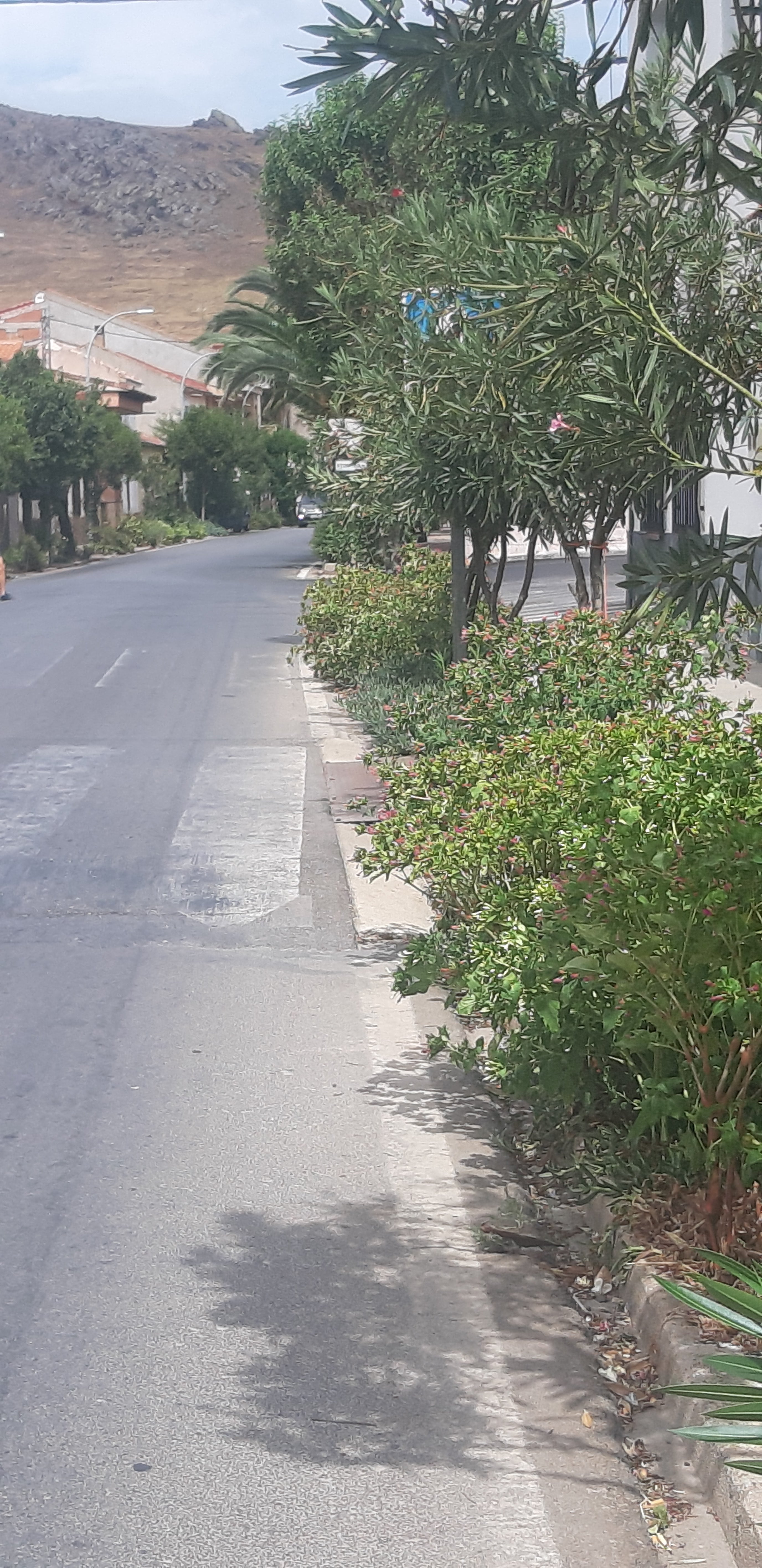 Paso de peatones La señal de paso de peatones está casi tapada por un arbusto, además está situada pasado el paso de peatones y sin la señal de advertencia de resalto en la calzada Este paso de peatones está situado en la carretera CM 4120 a su paso por Fuente el Fresno, que ahí se denomina Avenida de Juan Carlos I frente al número 49