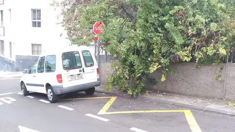 Stop tapado por las ramas En este cruce hay una señal de stop difícil de ver, pues las ramas de los árboles de la propiedad contigua lo impiden. Calle Marina González González esquina con calle Guillermo González, frente a Correos, en Tejina, La Laguna.