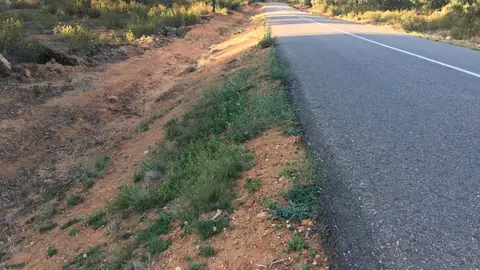 Zona Peligrosa Carretera SIN Arcén ZA-V-2527 Carretera entre Micereces de Tera y San Pedro de Zamudia, a 1 Km de Miceres,(ZA-V-2527) ya de por si la carretera es muy estrecha y cuando te cruzas con otro coche hay que arrimarse a la orilla. Justo donde acaba el Asfalto comienza un terraplen como cuneta, con riesgo de salirte y volcar, esto en ambos lados de la carretera.